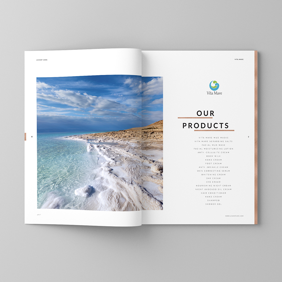 Levant Care Company Brochure